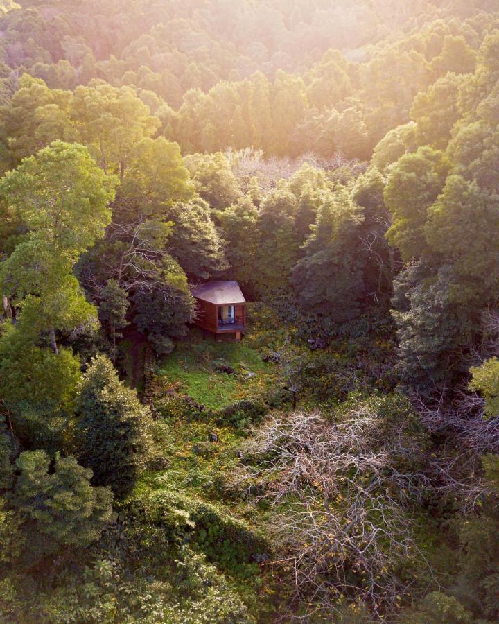 Caparica Azores Ecolodge Biscoitos  Экстерьер фото