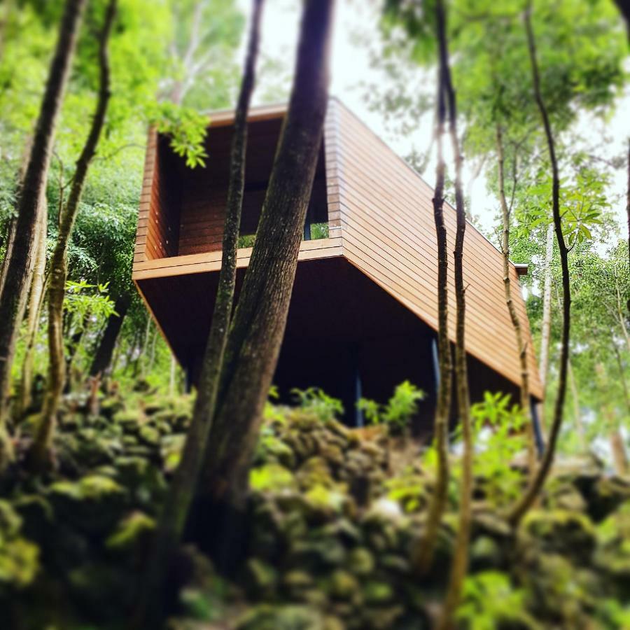 Caparica Azores Ecolodge Biscoitos  Экстерьер фото