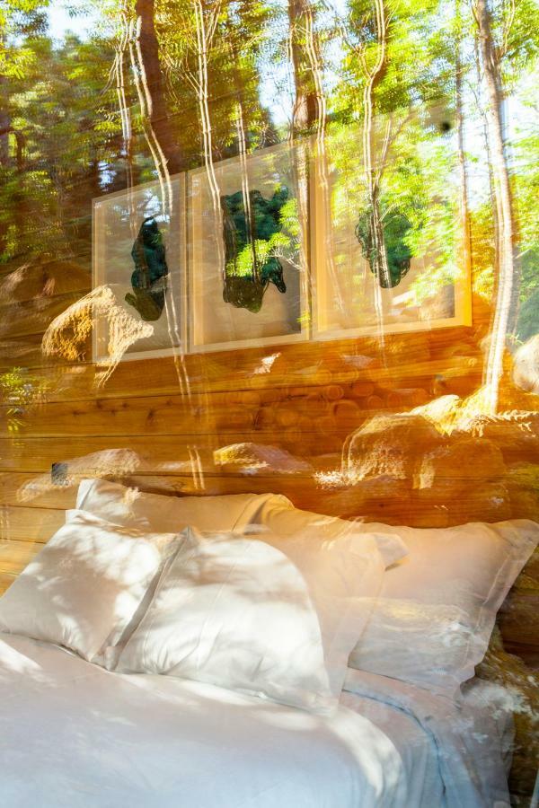 Caparica Azores Ecolodge Biscoitos  Экстерьер фото