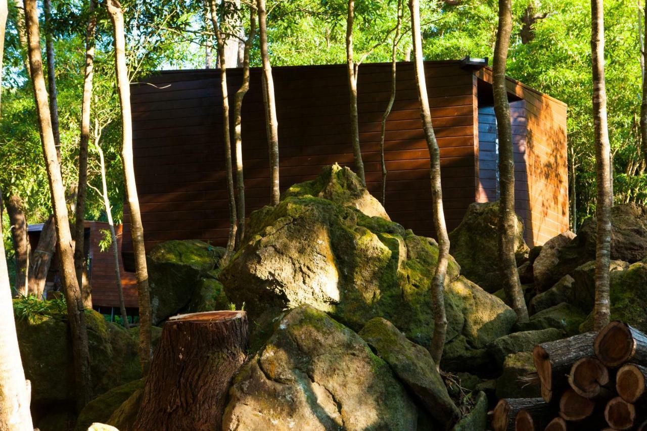 Caparica Azores Ecolodge Biscoitos  Экстерьер фото