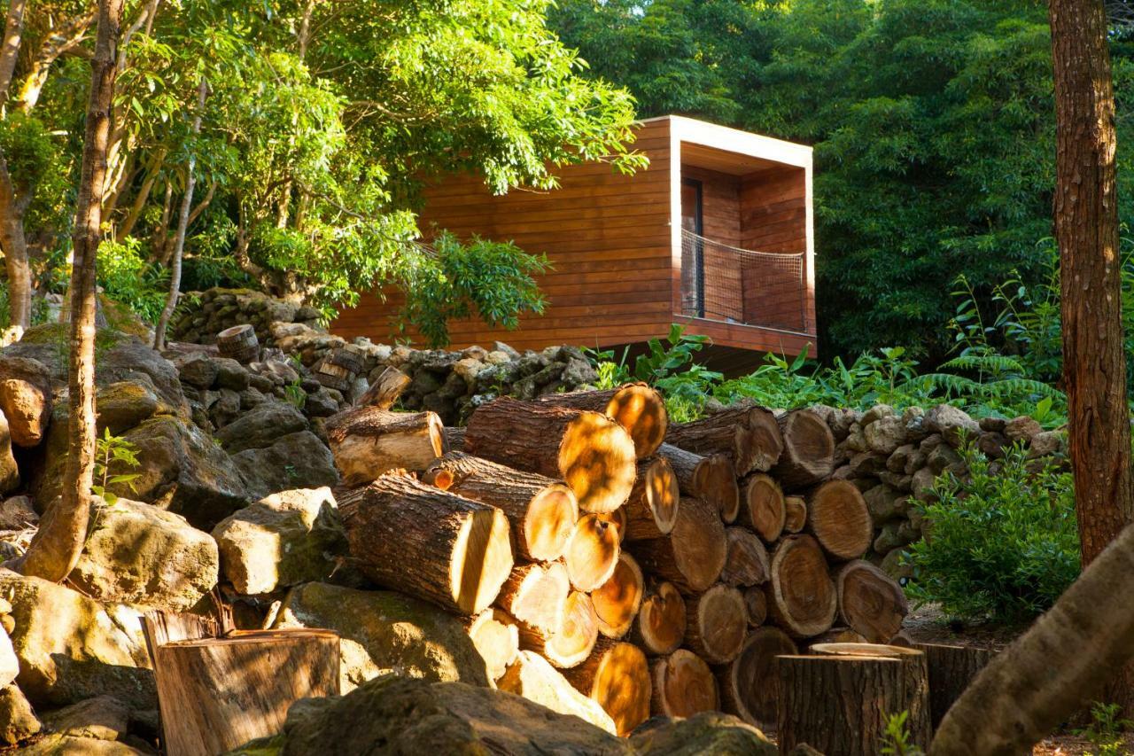 Caparica Azores Ecolodge Biscoitos  Экстерьер фото