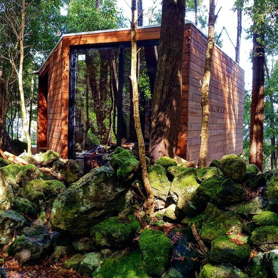 Caparica Azores Ecolodge Biscoitos  Экстерьер фото