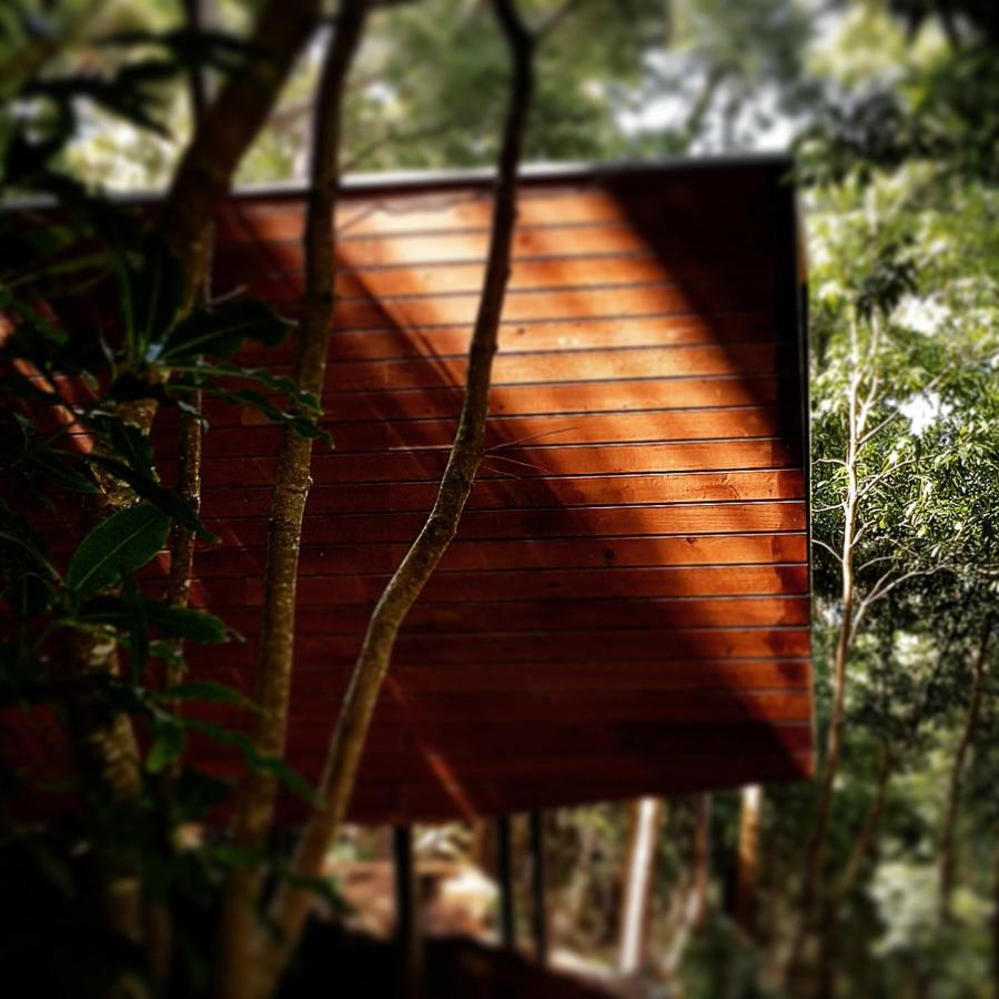 Caparica Azores Ecolodge Biscoitos  Экстерьер фото