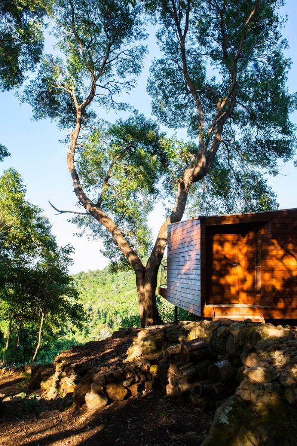 Caparica Azores Ecolodge Biscoitos  Экстерьер фото
