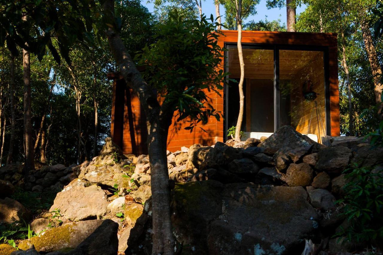 Caparica Azores Ecolodge Biscoitos  Экстерьер фото