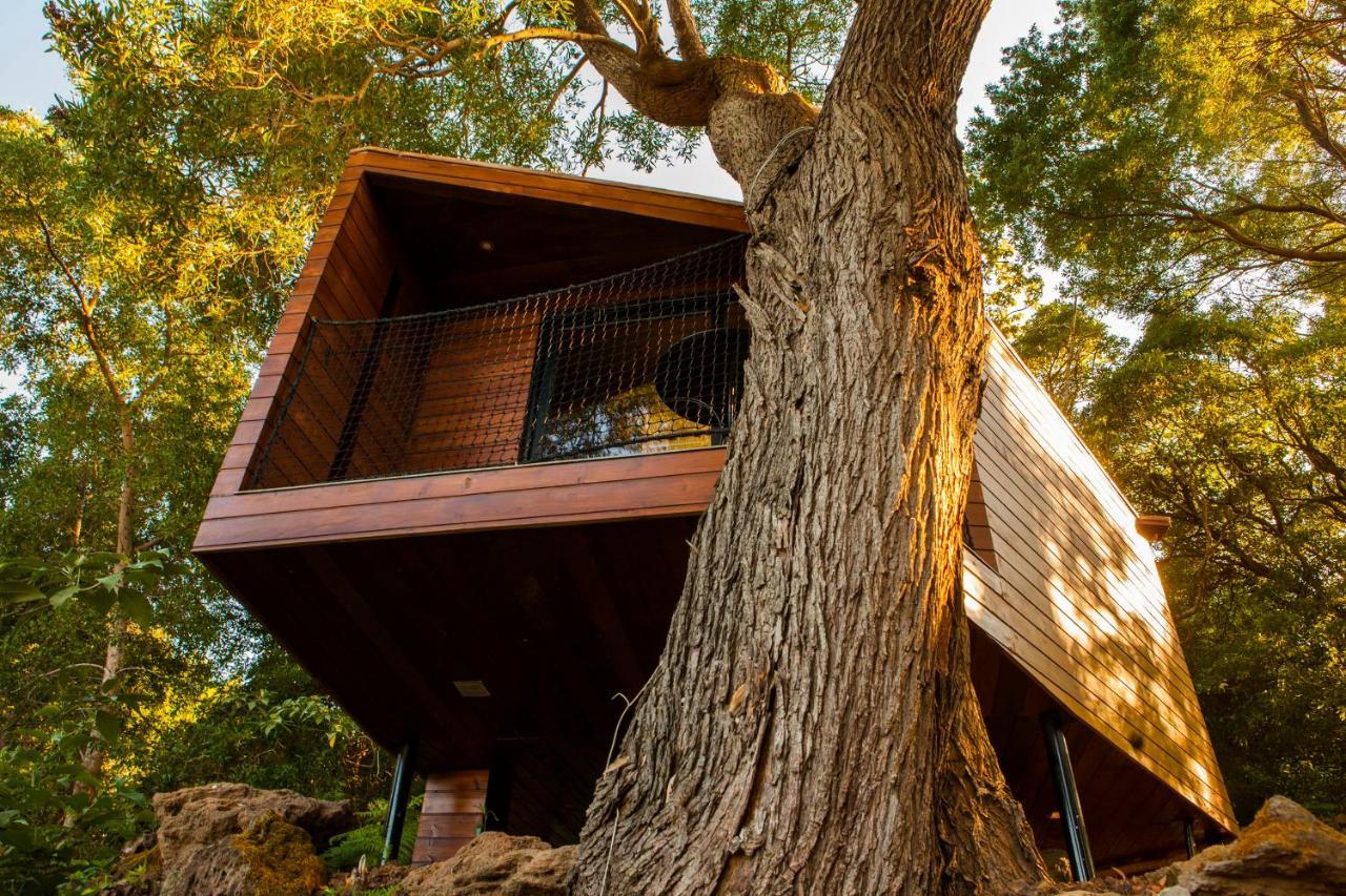 Caparica Azores Ecolodge Biscoitos  Экстерьер фото