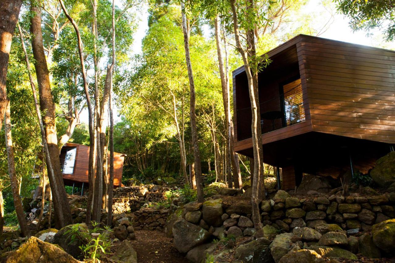 Caparica Azores Ecolodge Biscoitos  Экстерьер фото